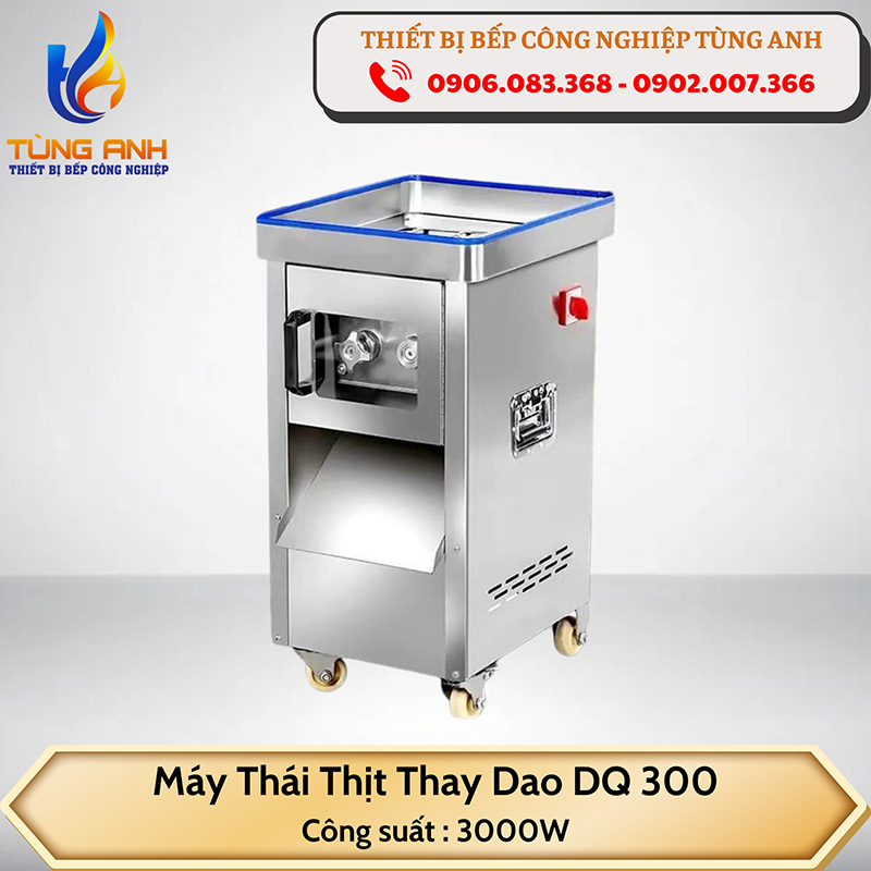 Máy thái thịt thay dao DQ-300